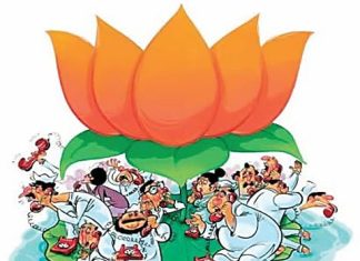 वणी नगर परिषद: भाजपकडे उमेदवारीसाठी झुंबड, १३५ अर्ज! महिलांची ताकद, विकासाची हमी – पूर्ण बातमी वाचा!