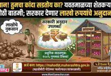 ЁЯУв рд╕рд╛рд╡рдзрд╛рди ! рддреБрдордЪрд╛ рдХрд╛рдВрджрд╛ рд╕рдбрддреЛрдп рдХрд╛? рдпрд╡рддрдорд╛рд│ рдЬрд┐рд▓реНрд╣реНрдпрд╛рддреАрд▓ рд╢реЗрддрдХрд▒реНрдпрд╛рдВрд╕рд╛рдареА рдореЛрдареА рдмрд╛рддрдореА; рд╕рд░рдХрд╛рд░ рджреЗрдгрд╛рд░ рд▓рд╛рдЦреЛ рд░реБрдкрдпрд╛рдВрдЪреЗ рдЕрдиреБрджрд╛рди!