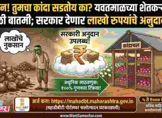 📢 सावधान ! तुमचा कांदा सडतोय का? यवतमाळ जिल्ह्यातील शेतकऱ्यांसाठी मोठी बातमी; सरकार देणार लाखो रुपयांचे अनुदान!